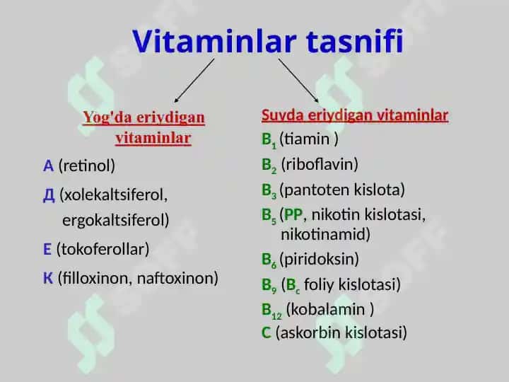 Vitaminlar 5