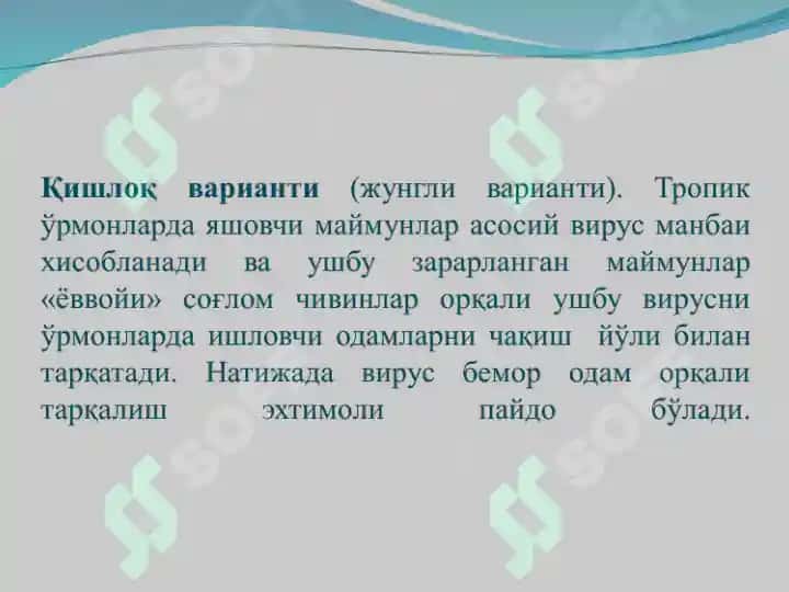 Сариқ иситма 5