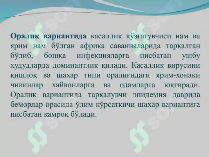 Сариқ иситма 7
