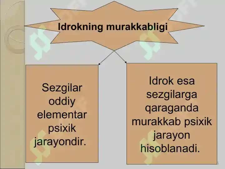 Idrok ILLYUZIYALARI 6