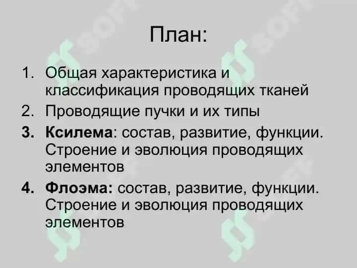 Проводящие ткани 2