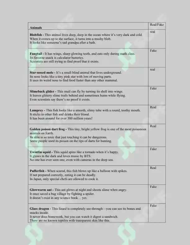 Weird and Wonderful Animals lesson plan 3
