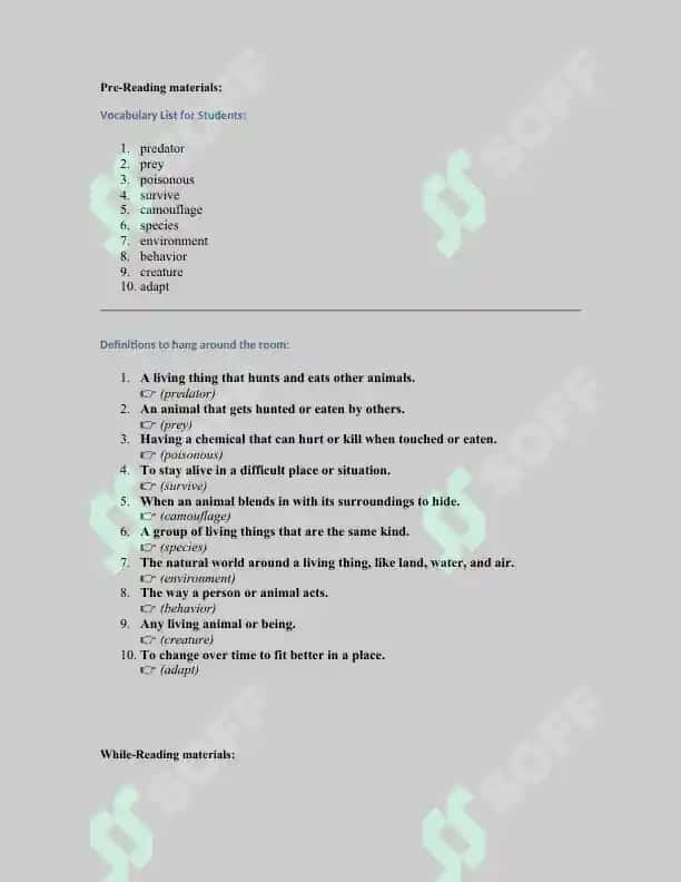 Weird and Wonderful Animals lesson plan 4