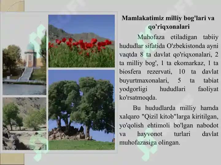 Ekoturizm 4