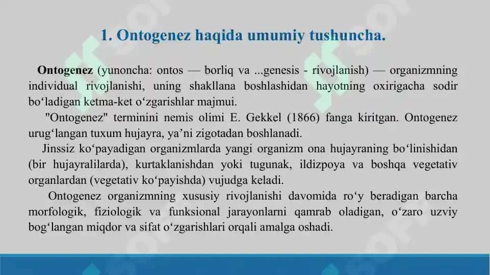 Ontogenez. Taqdimot 12 sahifa. 2