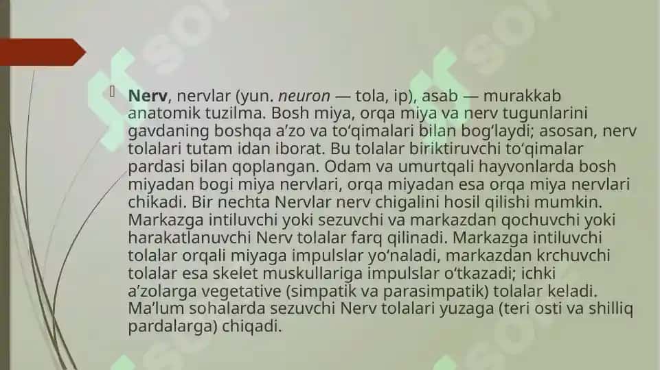 Nerv Impulsi 4
