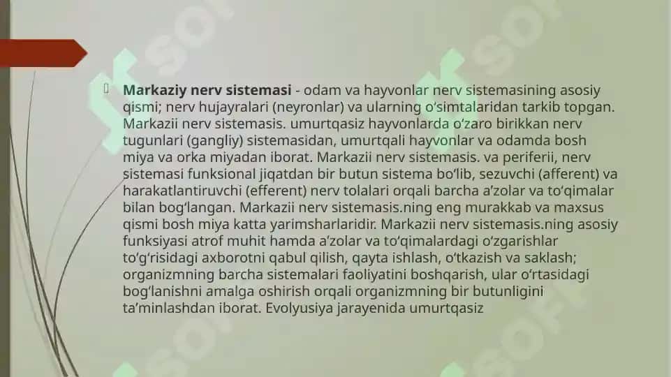 Nerv tizimi haqida ma'lumot 2
