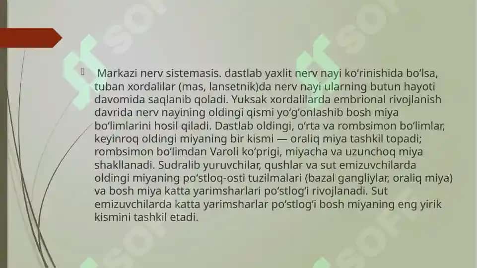 Nerv tizimi haqida ma'lumot 3