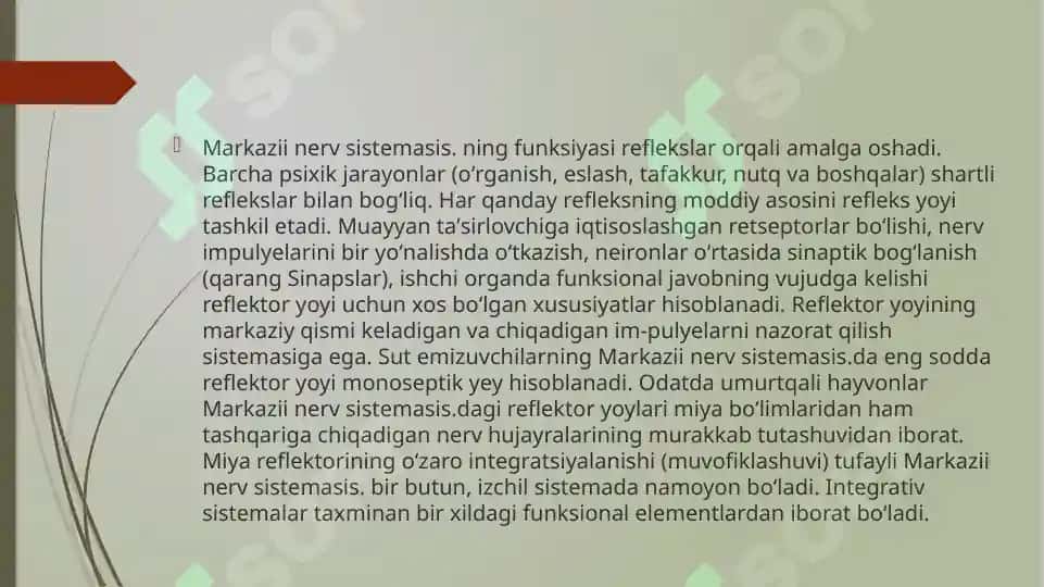 Nerv tizimi haqida ma'lumot 4