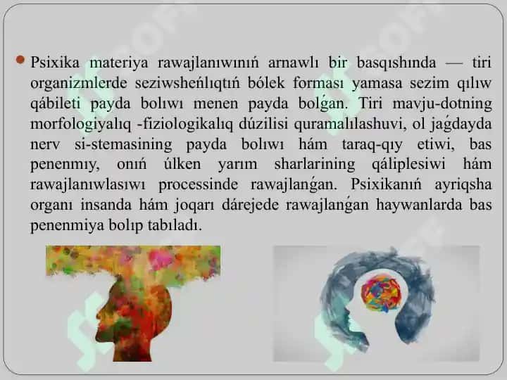 Psixik procesler hám miydiń óz ara baylanıslılıǵı. 4