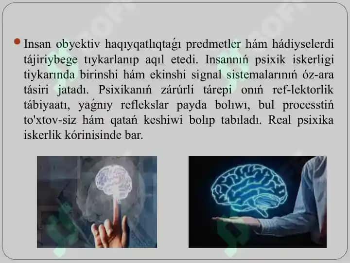 Psixik procesler hám miydiń óz ara baylanıslılıǵı. 7