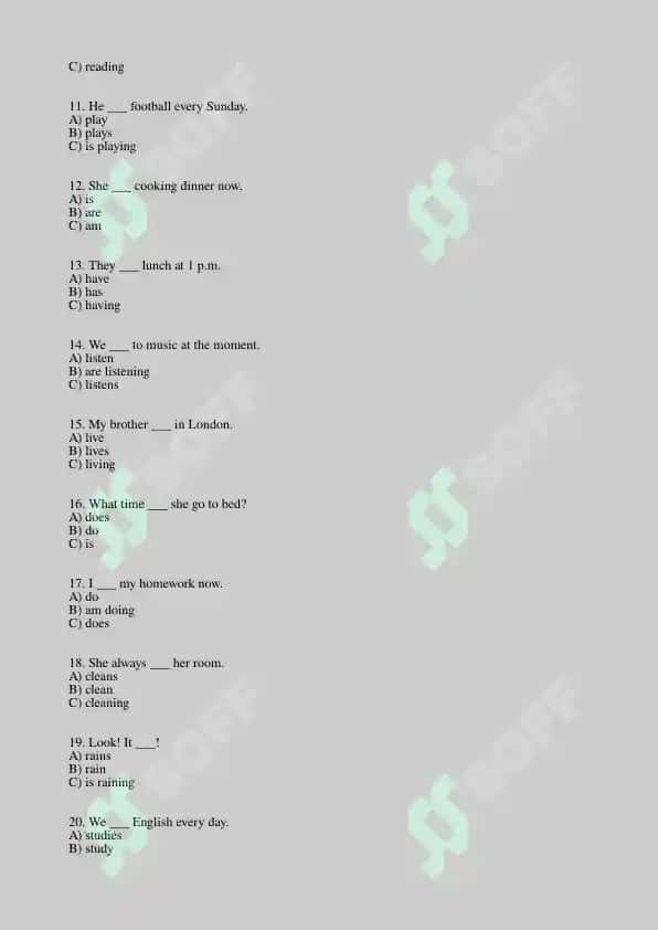 English Grammar Practice Questions: Present, Past, Future Tenses 2