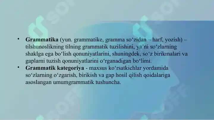Grammatik ma'noni ifodalovchi vositalar 3