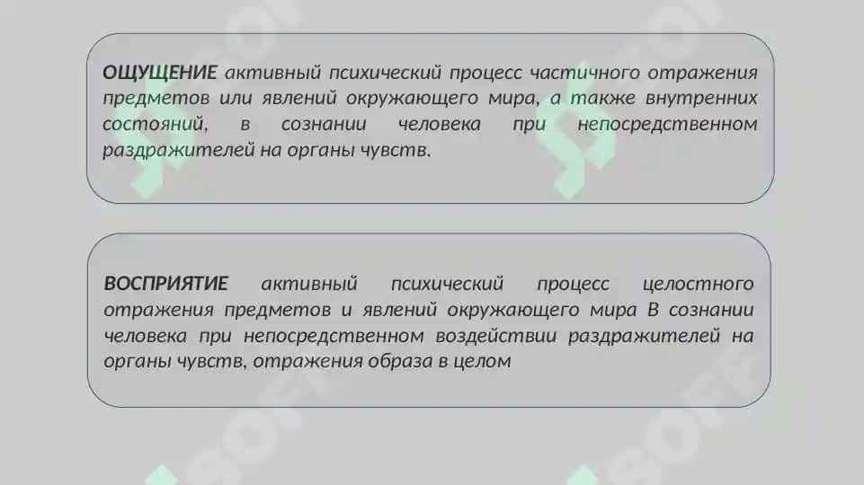 Психология когнитивных процессов 2