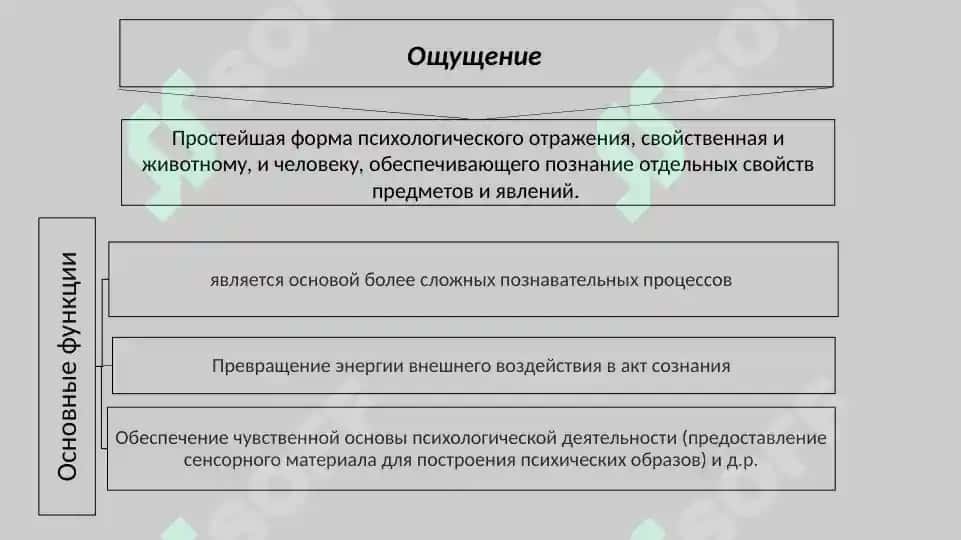 Психология когнитивных процессов 3