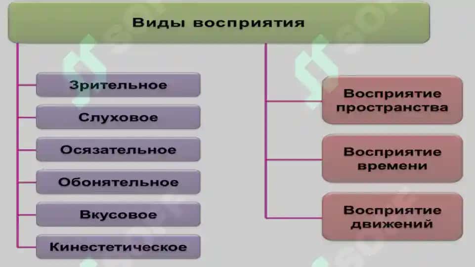 Психология когнитивных процессов 7