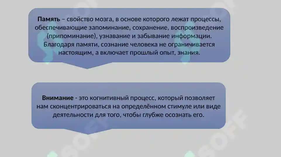 Психология когнитивных процессов 8