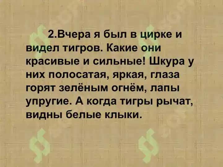 Виды текстов. 3