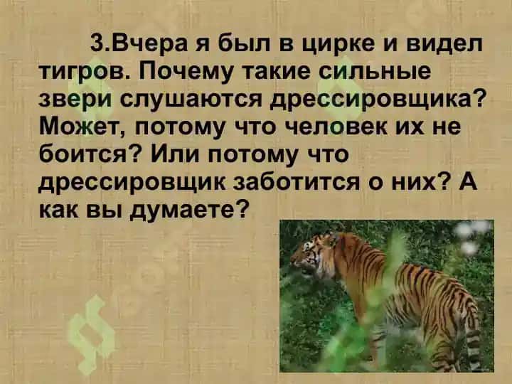 Виды текстов. 4
