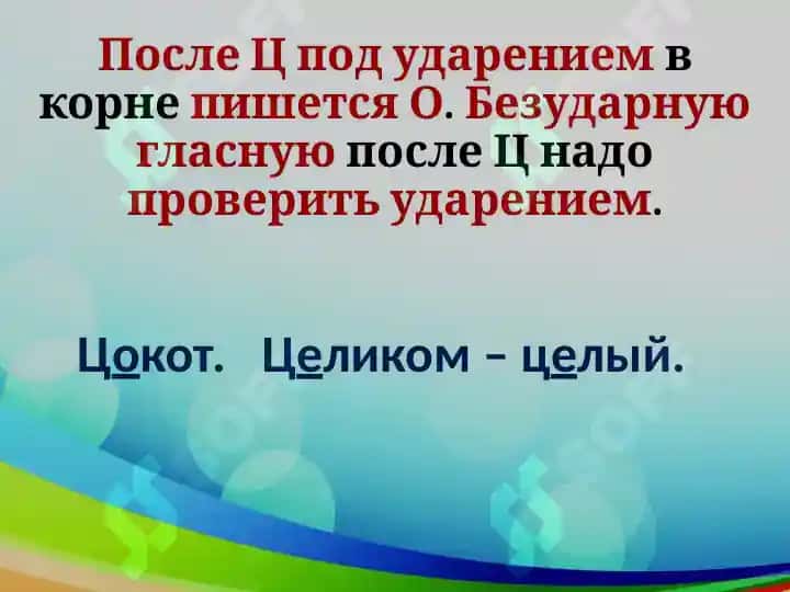 Гласные после шипящих и Ц 3