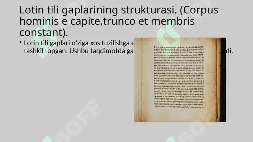 Lotin tili gaplarining strukturasi 2
