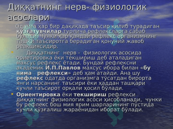 DIQQAT 6