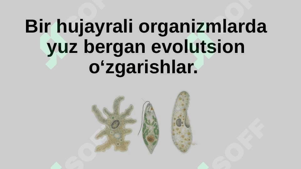 Hayvonot dunyosidagi evolyusion o‘zgarishlar. 8