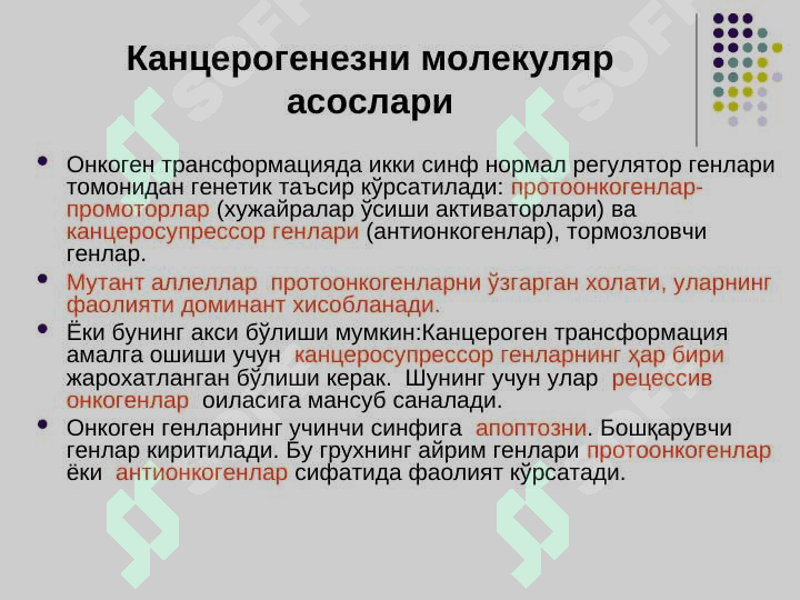 ЎСМАЛАР 7