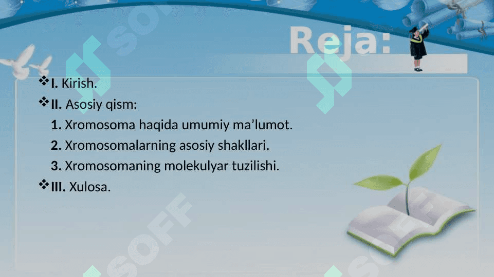 Xromosoma. Xromosomalarning molekulyar tuzilishi 2