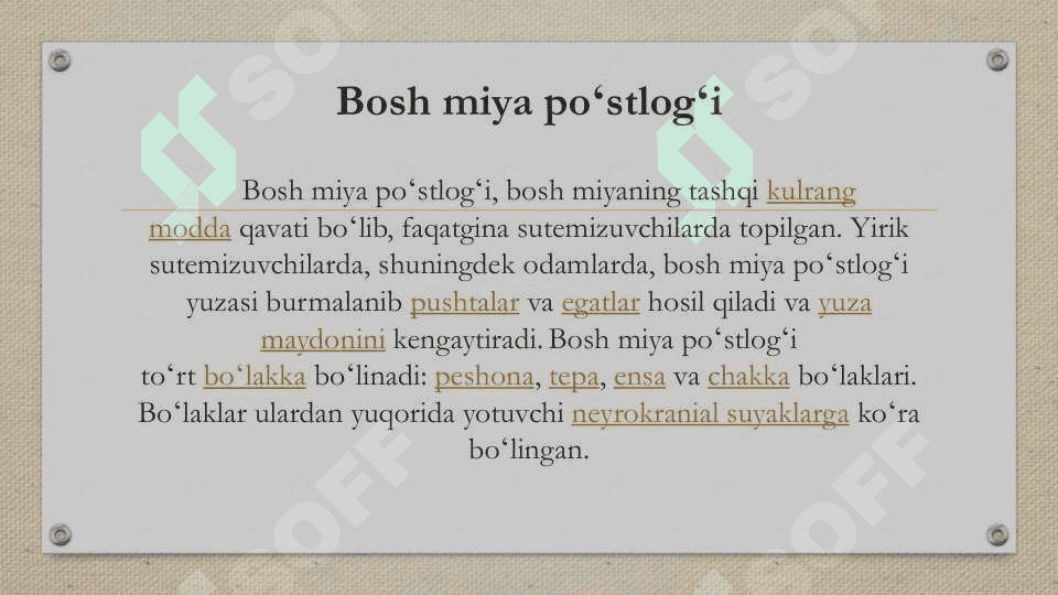 Bosh miya yarim sharlari 4