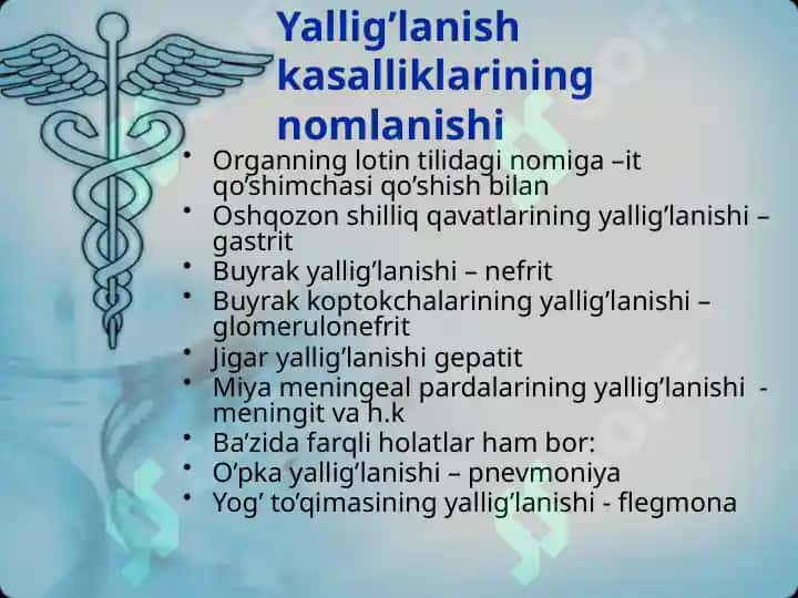 Yallig’lanish 3
