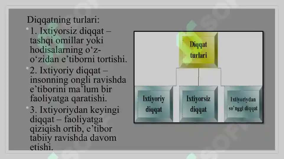 Diqqat va sezgi 4