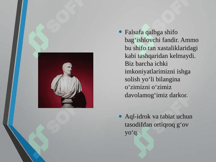 Sitseron xatlari va katilinariylari 6