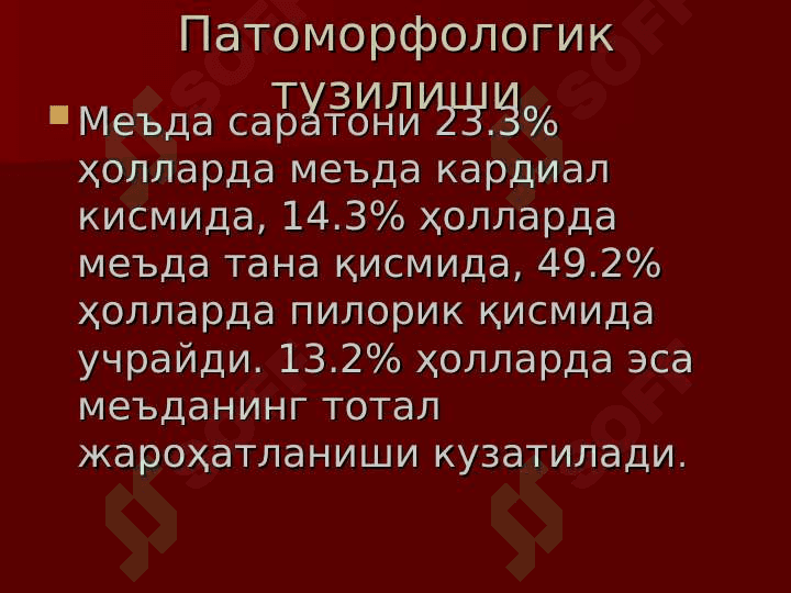 MEDA RAKI 7