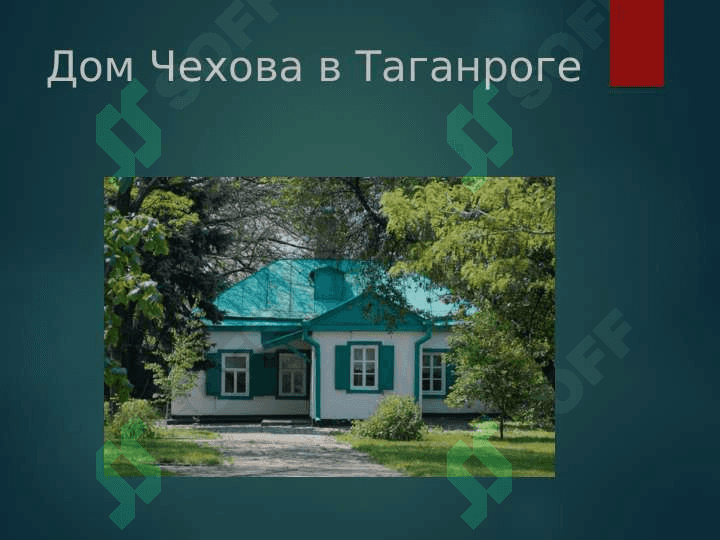 Антон Павлович Чехов 8