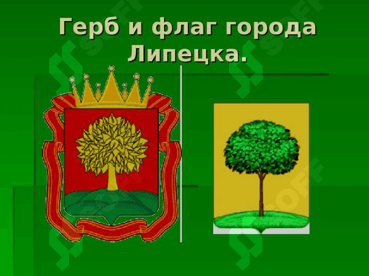 Липецк – мой любимый город! 8
