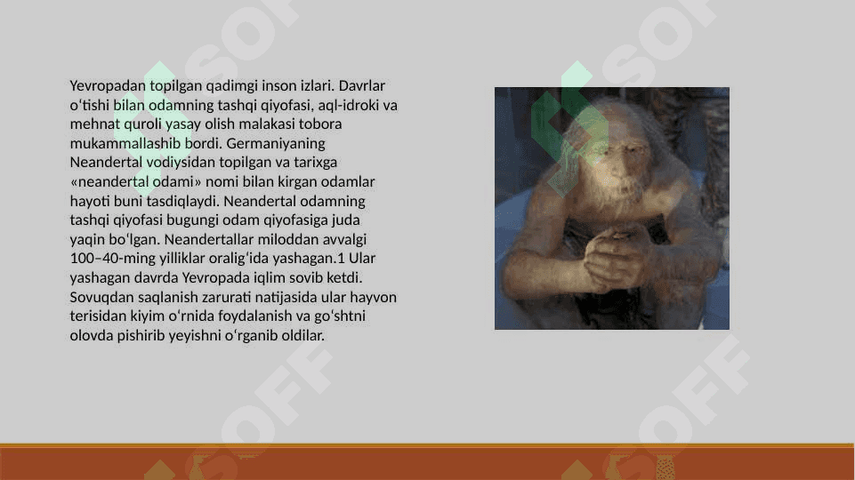 Eng qadimgi odamlar haqida Taqdimot 3