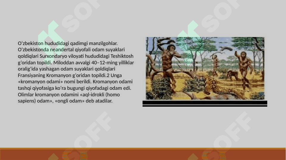 Eng qadimgi odamlar haqida Taqdimot 4