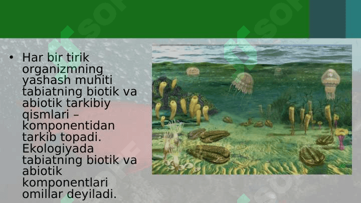 ASOSIY YASHASH MUHITLARI VA ULARGA HAYVONLARNING MOSLASHUV XUSUSIYATLARI 5