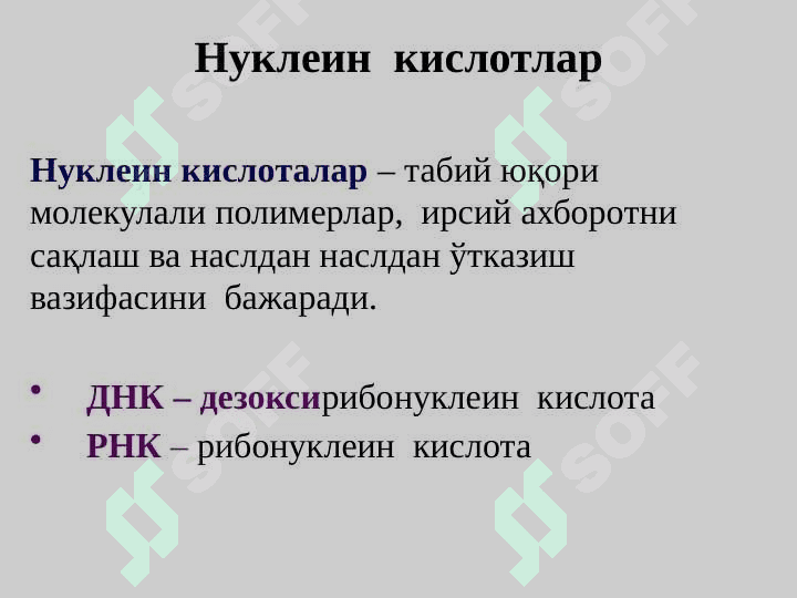 Нуклеин кислоталар биосинтези 8