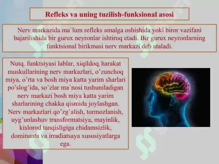 Refleks va uning turlari 3