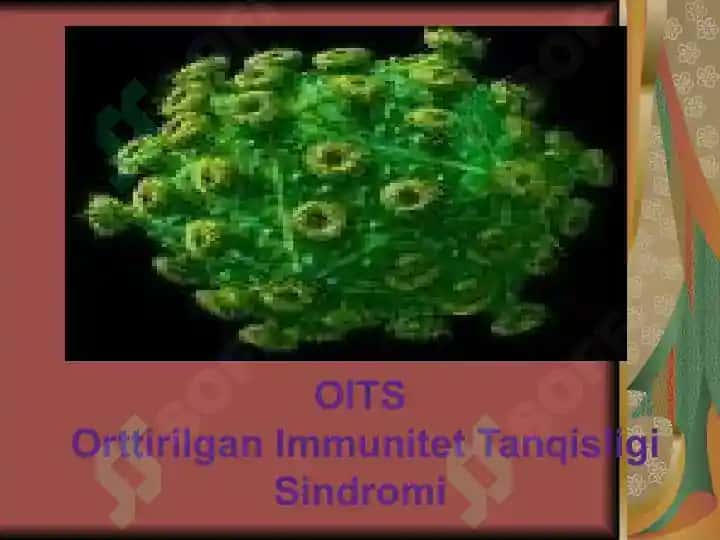 OITS (Orttirilgan Immunitet Tanqisligi Sindromi) 4
