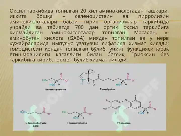 Аминокислоталар ва оқсиллар 6