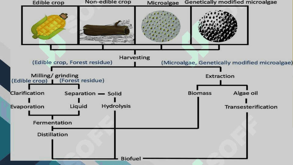 Bioenergetikada biotexnologiyaning roli 4