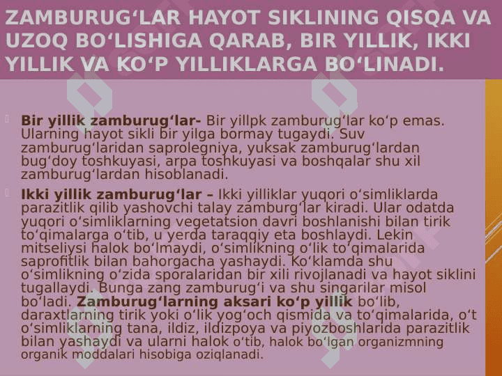 Zamburug'lar 7