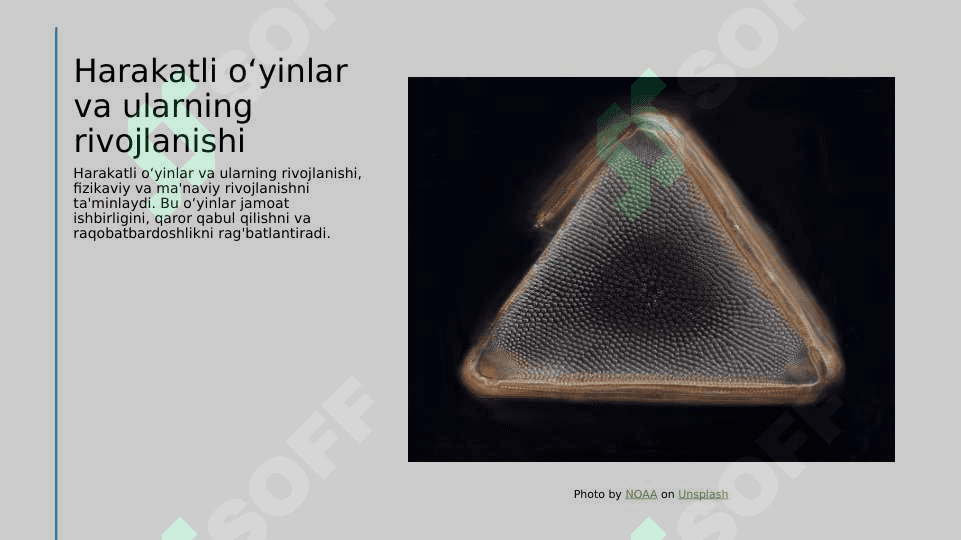 Harakatli oʻyinlar 4