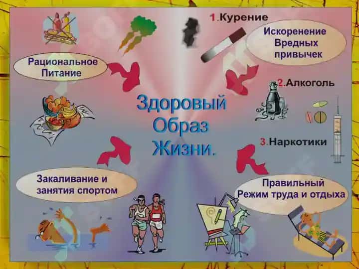 Здоровый образ жизни 4