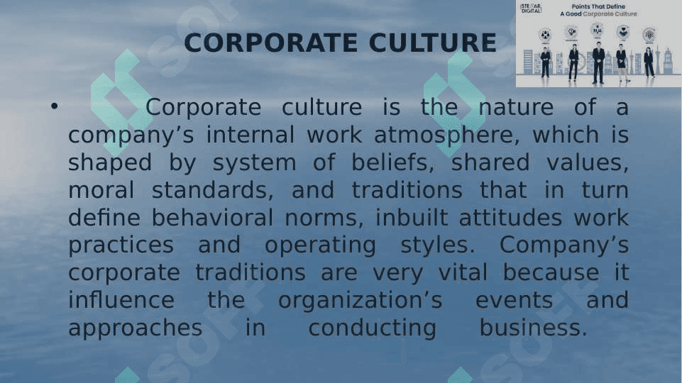 THE CORPORATE CULTURE 2