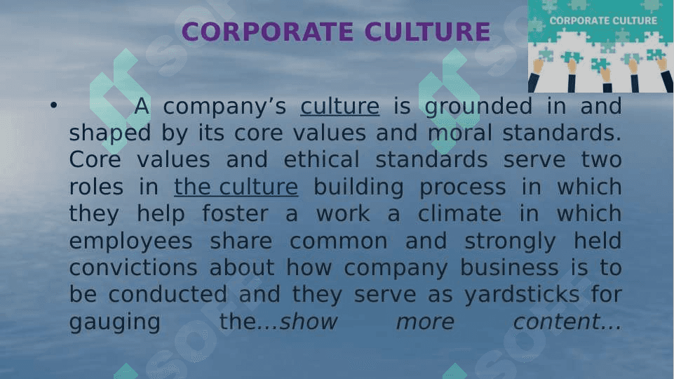 THE CORPORATE CULTURE 3