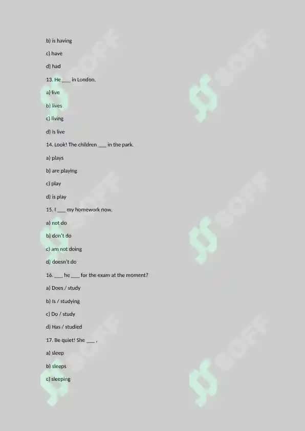 English Grammar Quiz 3